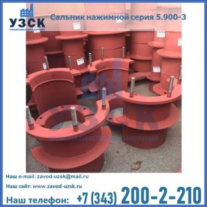 Сальники нажимные серия 5.900-3 в Сыктывкаре